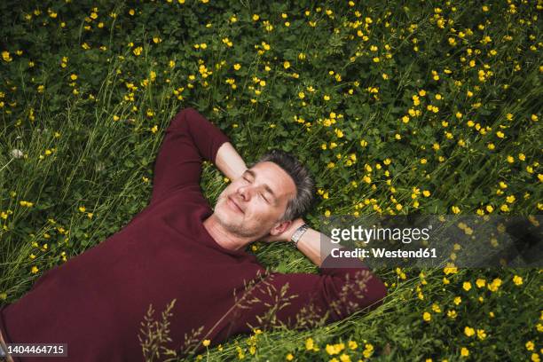 smiling mature man lying on grass at park - lying on grass stock-fotos und bilder