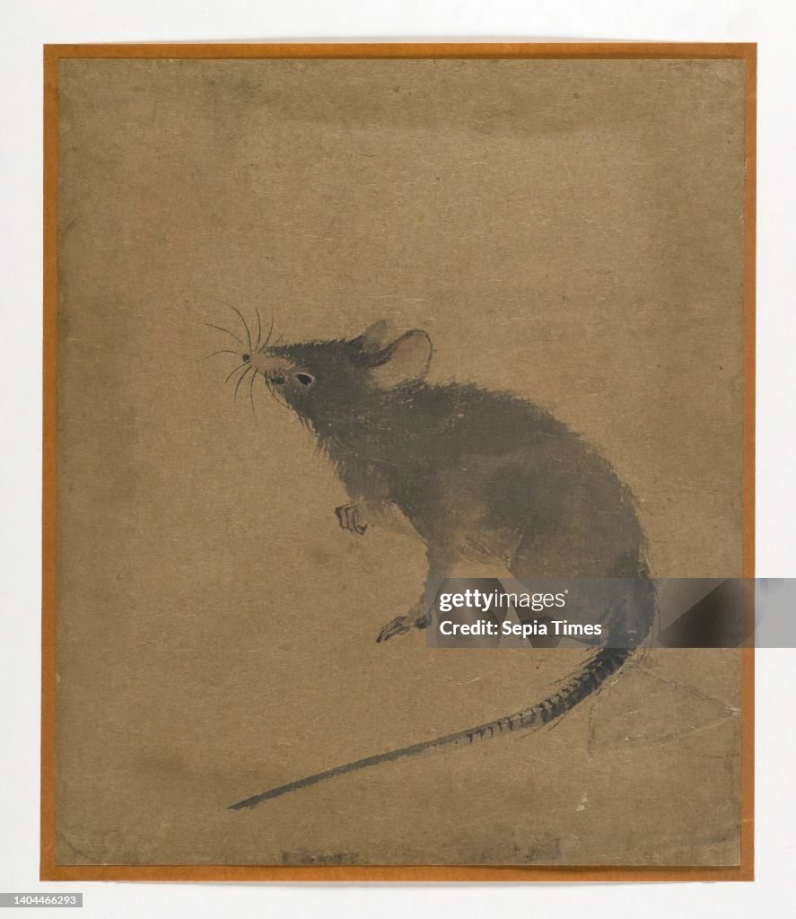 Mouse Ink Drawing Mouse, ink and sepia on paper, Japan, 19th century, Edo Period, 7 1/2 ...