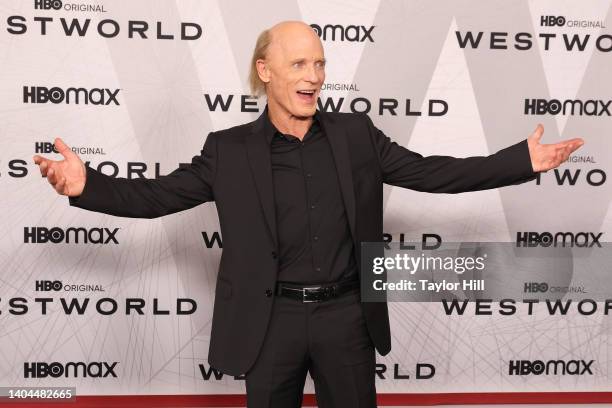 Ed Harris attends the premiere of HBO's "Westworld" Season 4 at Alice Tully Hall, Lincoln Center on June 21, 2022 in New York City.