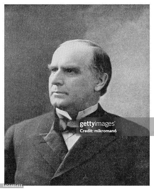 portrait of william mckinley, 25th president of the united states (1897 - 1901) - william mckinley amerikansk president bildbanksfoton och bilder
