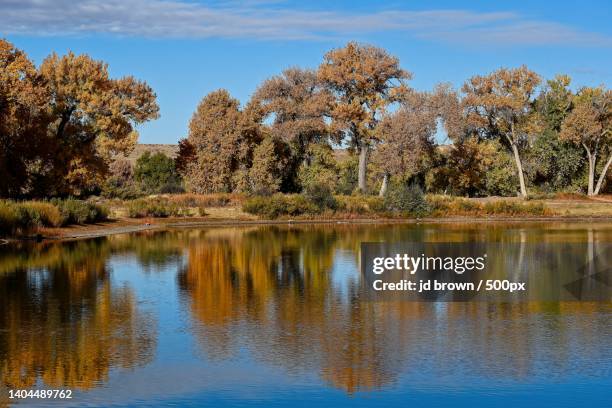 autumn morning on the fishing pond,lake pueblo state park,united states,usa - jd woods stock pictures, royalty-free photos & images