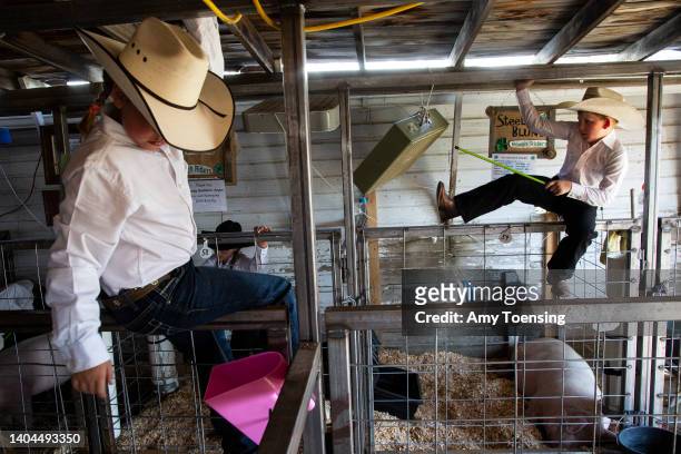 Kids Courtney Merriman and Steeler Blunt play near Blunt’s pig, Hot Ham, at the Phillips County Fair on August 2, 2018. The American Prairie Reserve...