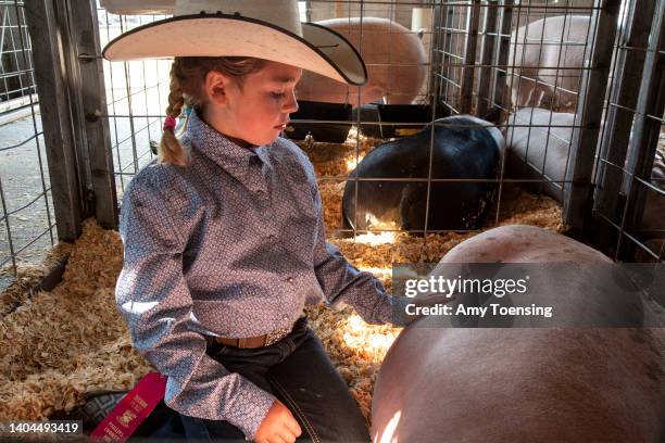 Courtney Merriman saying goodbye to her 4H pig after auctioning him off on August 4, 2018. The processing outfit will take him away the next morning....