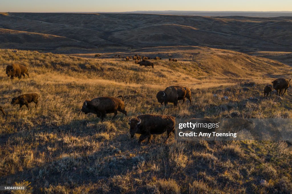 American Prairie Reserve