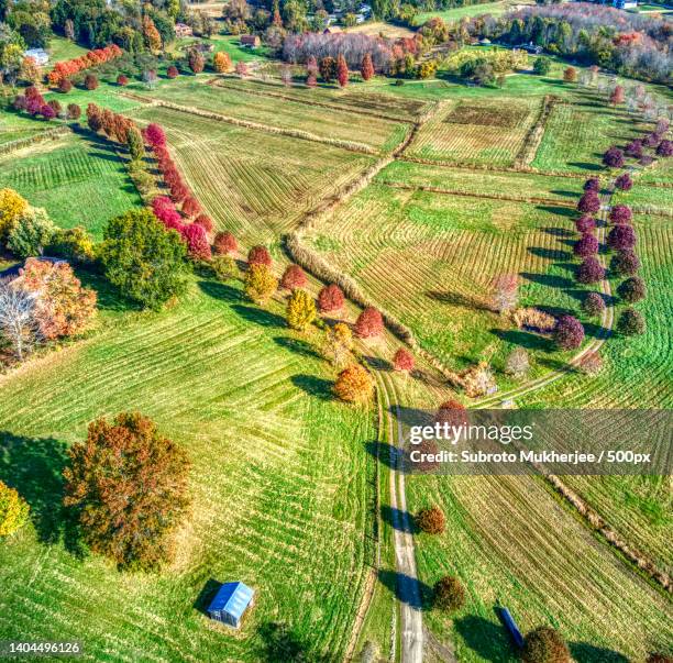high angle view of agricultural field,groton,massachusetts,united states,usa - groton stock pictures, royalty-free photos & images