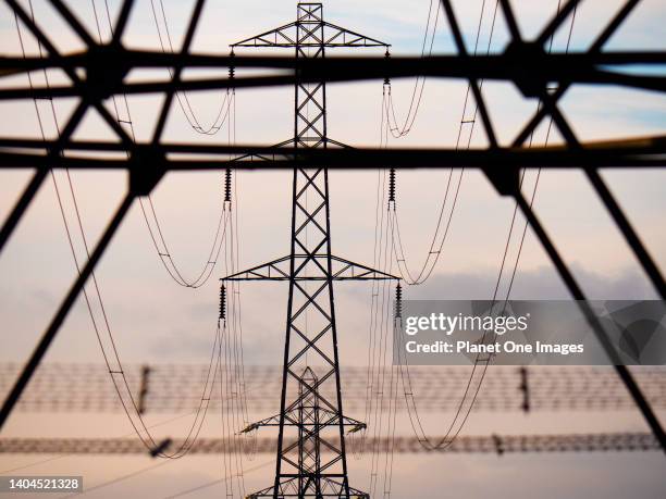 Electricity pylons in a field in Lower Radley at dusk p4.