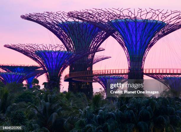 Gardens by the Bay, Singapore - 3 - 5 March 2019 Singapore aspires to be the world's greenest city; it seems to be succeeding. Of course, climate...