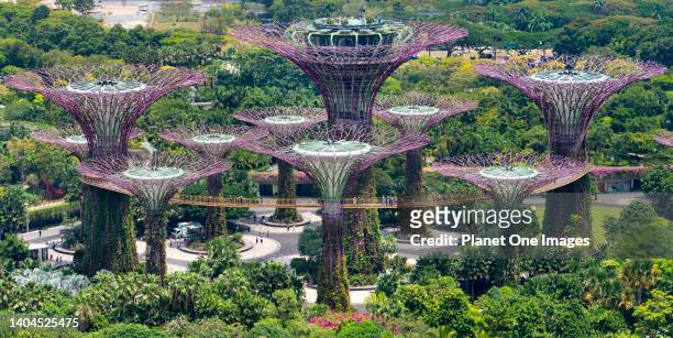 Gardens by the Bay, Singapore - 3 March 2019 Singapore aspires to be the world's greenest city; it seems to be succeeding. Of course, climate helps -...