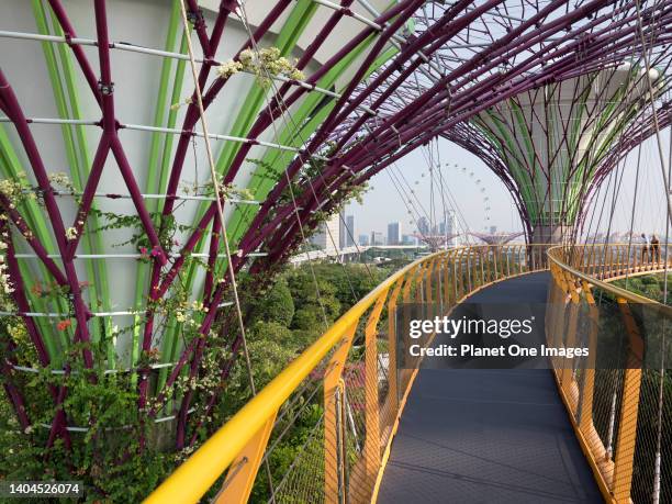 Gardens by the Bay, Singapore - 3 March 2019 Singapore aspires to be the world's greenest city; it seems to be succeeding. Of course, climate helps -...