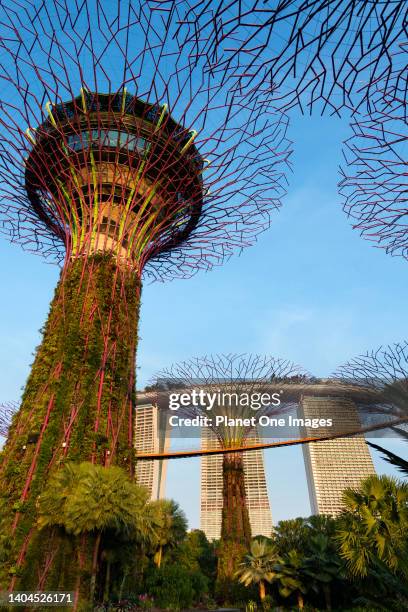 Gardens by the Bay, Singapore - 3 - 5 March 2019 The iconic three-towered Marina Bay Sands Hotel, opened in 2010, is a luxury hotel and leisure...