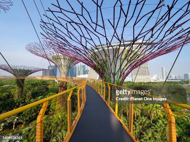 Gardens by the Bay, Singapore - 3 March 2019 Singapore aspires to be the world's greenest city; it seems to be succeeding. Of course, climate helps -...