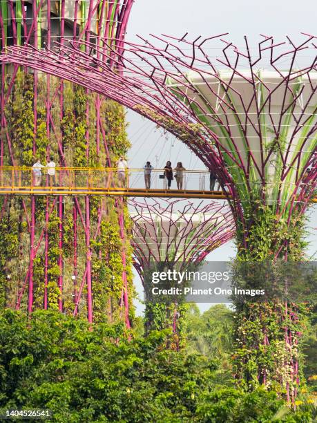 Gardens by the Bay, Singapore - 3 - 5 March 2019; group of tourists, sightseeing in shot. Singapore aspires to be the world's greenest city; it seems...