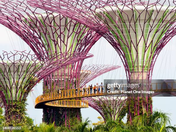 Gardens by the Bay, Singapore - 3 - 5 March 2019; group of tourists, sightseeing in shot. Singapore aspires to be the world's greenest city; it seems...