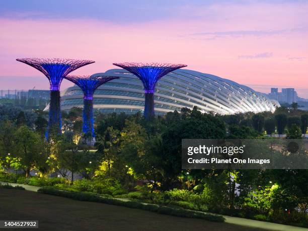Gardens by the Bay, Singapore - 3 - 5 March 2019 Singapore aspires to be the world's greenest city; it seems to be succeeding. Of course, climate...
