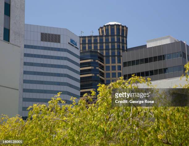 Trees in the exterior courtyard of the Hammer Museum, founded by oil magnate Armand Hammer and located in Westwood Village and near the UCLA campus,...