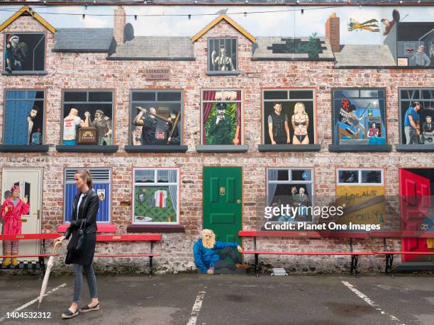 Murals in the Cathedral Quarter of Belfast, Northern Ireland n4.