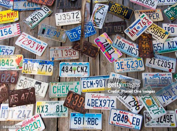 American car registration plates on display at a Bar Harbour restaurant, Maine USA.