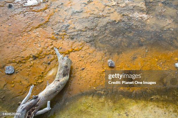 Fountain paintpots of Firehole, Yellowstone National Park.