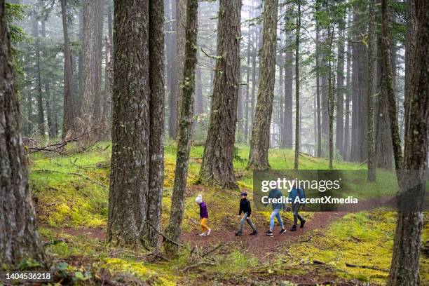 familienwandern in der natur - pacific northwest usa stock-fotos und bilder