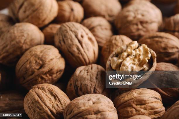 close-up of walnut - cáscara de nuez fotografías e imágenes de stock