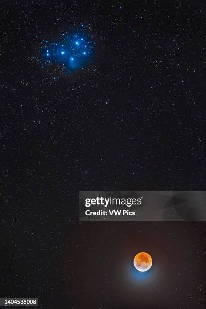 The deep partial eclipse of the Moon of November 19 with the reddened Moon below the Pleiades star cluster, M45, in Taurus, the hallmark feature of...