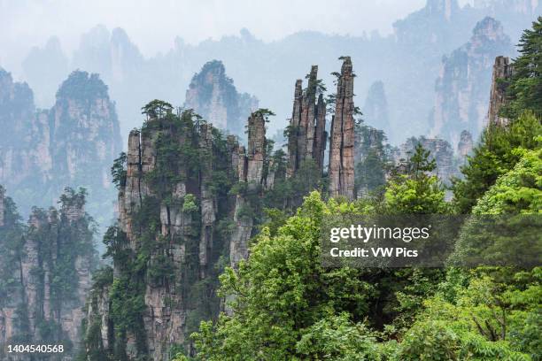 Morning fog in the quartzite sandstone pillars of the Tianzi Mountain area of Zhangjiajie National Forest Park, China.