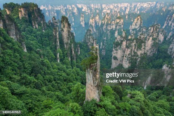 Quartzite sandstone pillars in the Tianzi Mountain area of the stone forest of Zhangjiajie National Forest Park, China.