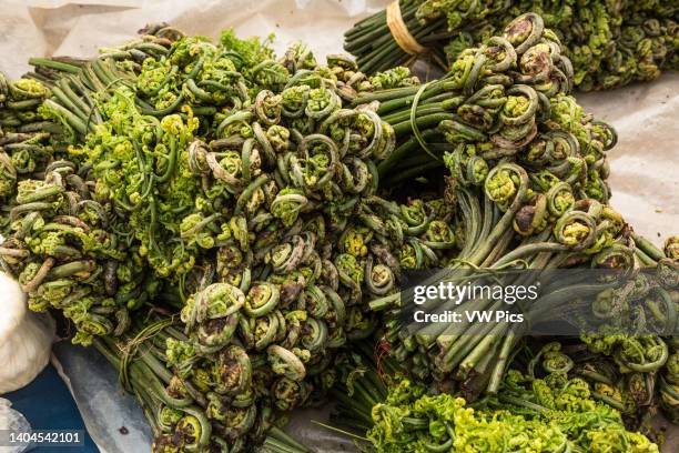 Fern fiddleheads, called nakey, for sale in a framers market in Punakha, Bhutan.