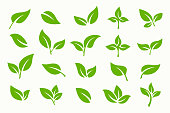 Green Leaf Icon and Logo Vector Set. Organic Business Template Signs and Symbol.