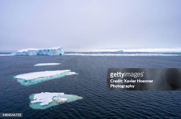 approaching antarctica - antarctic ocean stock pictures, royalty-free photos & images