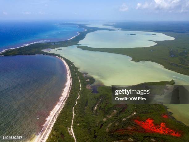 Aerial view of Punta Allen Sian Ka'an Reserve, Yucatan Peninsula, Mexico. Red lagoon near Boca Paila Bridge. In the language of the Mayan peoples who...