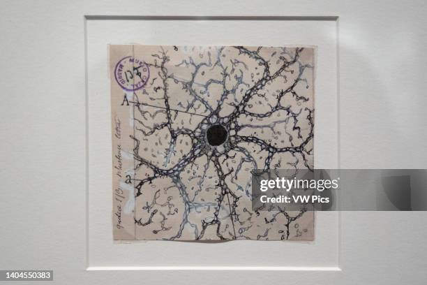 An astrocyte in the human hippocampus. Brain exhibition Inside MIT Museum Building at 265 Massachusetts Avenue Cambridge, Boston Massachusetts. USA...