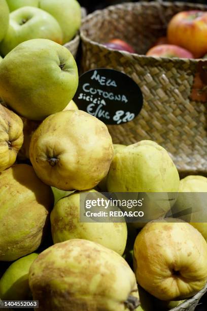 Quince, Mercato Centrale, central market, located in the Central Train Station of Milan, the market offers a variety of food and drinks to be...