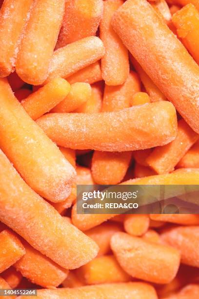 Heap of frozen peeled raw organic baby carrot. Food background, macro, close-up. Top view.
