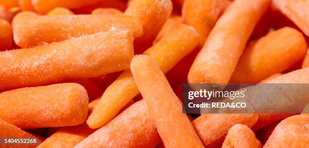 Heap of frozen peeled raw organic baby carrot. Food background, macro, close-up. Banner size.