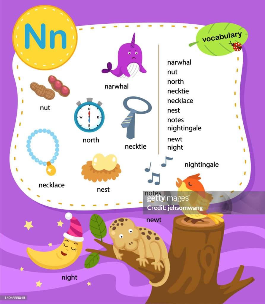All Letters N Alphabet Letter N Education Vocabulary Illustration Vector High-Res ...