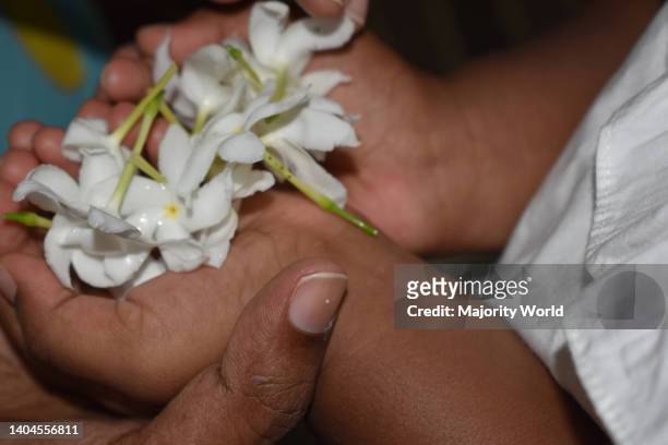 Colombo, Sri Lanka. 22nd June 2021. A three year old child carrying White Flowers in preparation for a nursery event to commemorate Poson full moon...