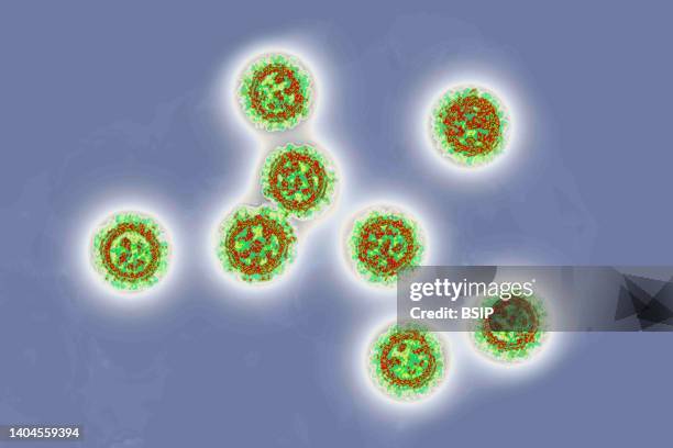 Coronavirus . Viruses of the Coronaviridae family and the Orthocoronavirinae subfamily. It is a pathogen of respiratory syndromes. Viewed from a...