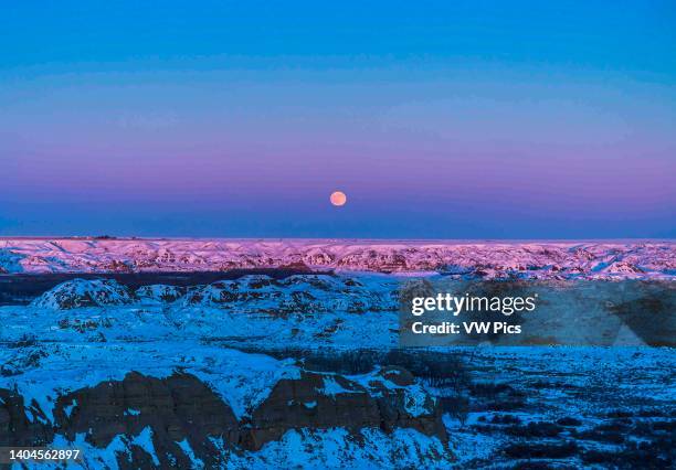 The Full 'Cold' Moon of December 29, 2020 rising over the Badlands of Dinosaur Provincial Park, Alberta, on the Red Deer River. The last light of the...