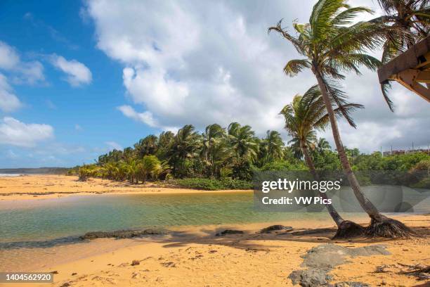 Puerto R Island Of Puerto Rico Photos and Premium High Res Pictures - Getty Images