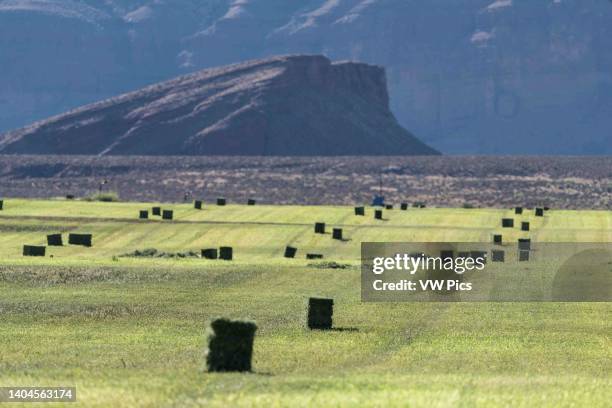 Redd Ranches Utah 154 Red Rock Ranch Stock Photos, High-Res Pictures, and Images - Getty ...