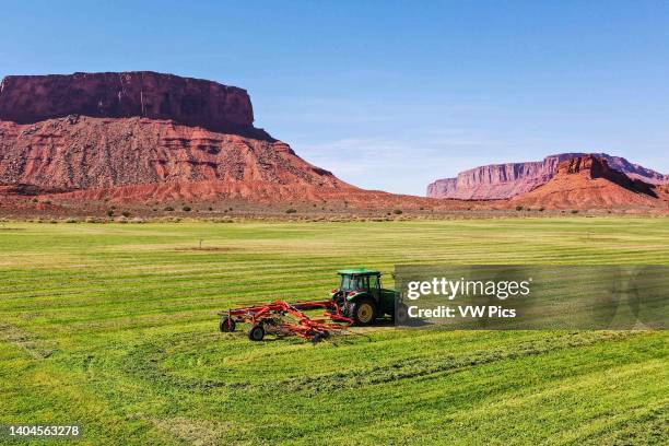 85 Windrows Stock Photos, High-Res Pictures, and Images - Getty Images