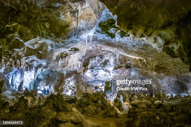 Carlsbad Caverns National Park - New Mexico.