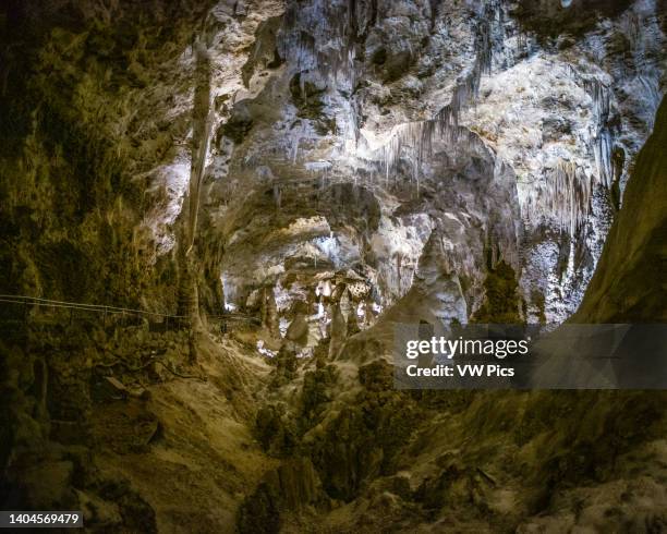Carlsbad Caverns National Park - New Mexico.
