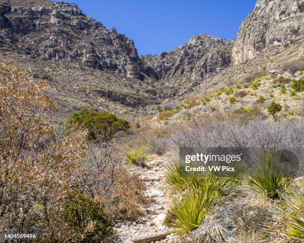 Guadalupe Mountains National Park in the Chihuahuan Desert of western Texas.