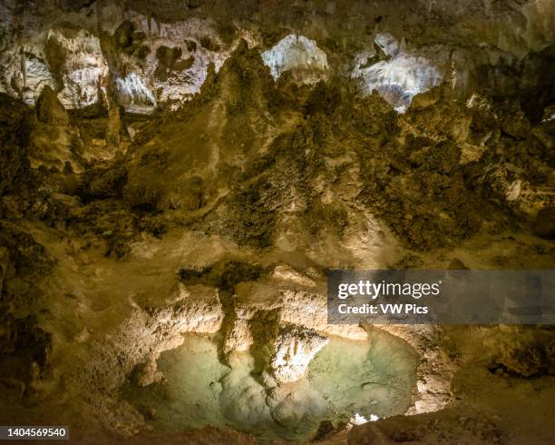 Carlsbad Caverns National Park - New Mexico.