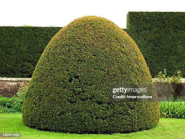 tejo fijación - tejo fotografías e imágenes de stock