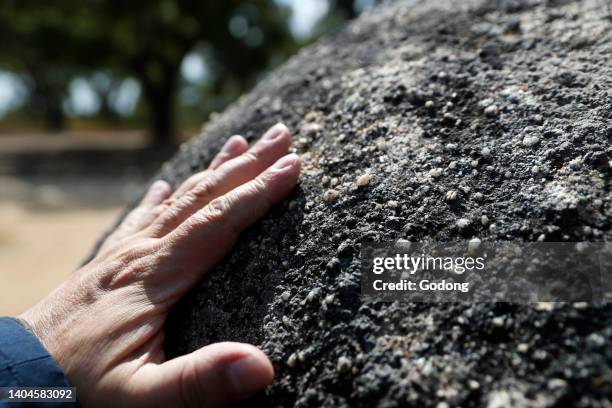 The Cromlech of the Almendres is a megalithic complex. It is one of largest existing group of structured menhirs in Europe. Portugal.