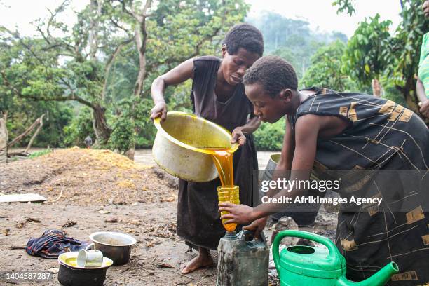 Congolese woman fills a container with homemade palm oil called 'Seketa' made by women in the village of Mpety in Walikale, North Kivu , 15 December...