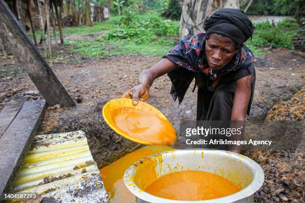Congolese woman fills a container with homemade palm oil called 'Seketa' made by women in the village of Mpety in Walikale, North Kivu , 15 December...